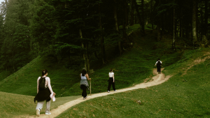Foraging Walk (Ages 